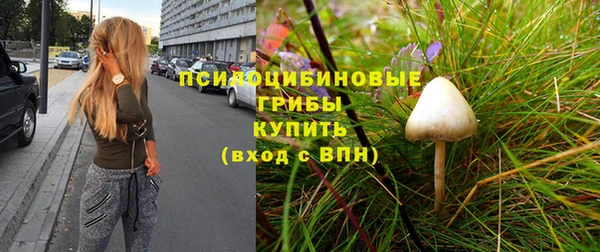 хмурый Алексеевка