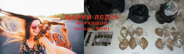 стаф Алексин