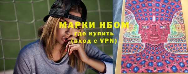 стаф Алексин