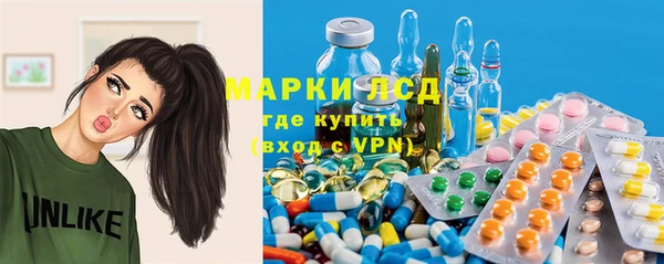 стаф Алексин