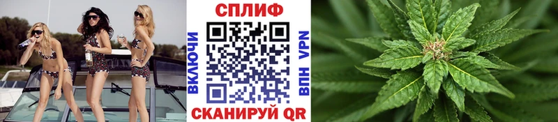 Бошки Шишки семена где можно купить наркотик Барыш